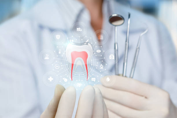 Reliable Connell, WA Holistic Dental Care Services Solutions