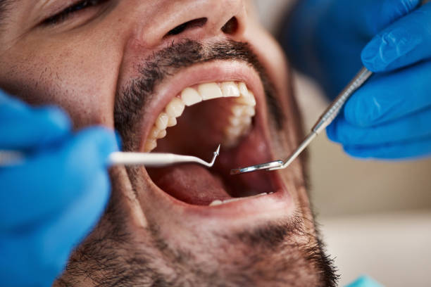 Connell, WA Holistic Dental Care Services Company